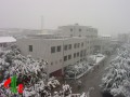 江西護理職業(yè)技術學院雪后風景