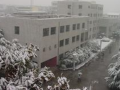 雨雪紛飛