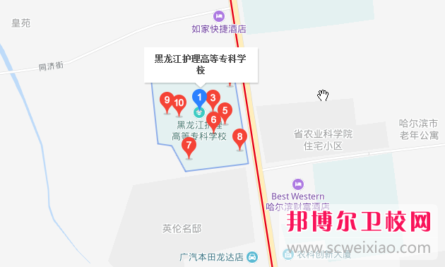 黑龍江護理高等?？茖W校地址在哪里