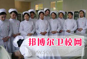 山東2023年衛(wèi)校都有什么專業(yè)適合女生