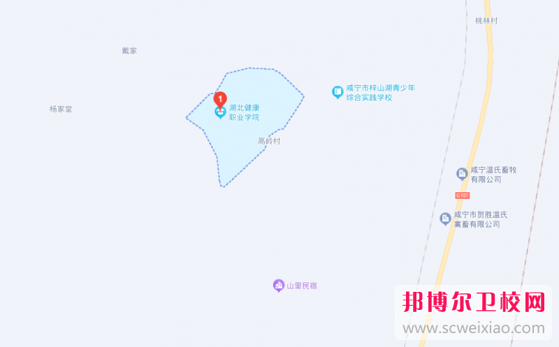 湖北健康職業(yè)學(xué)院地址在哪里，哪個地區(qū)，哪個城市?