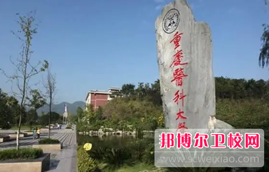 2023重慶醫(yī)科大學(xué)護理學(xué)院有哪些專業(yè) 重慶醫(yī)科大學(xué)護理學(xué)院開設(shè)的專業(yè)一覽表