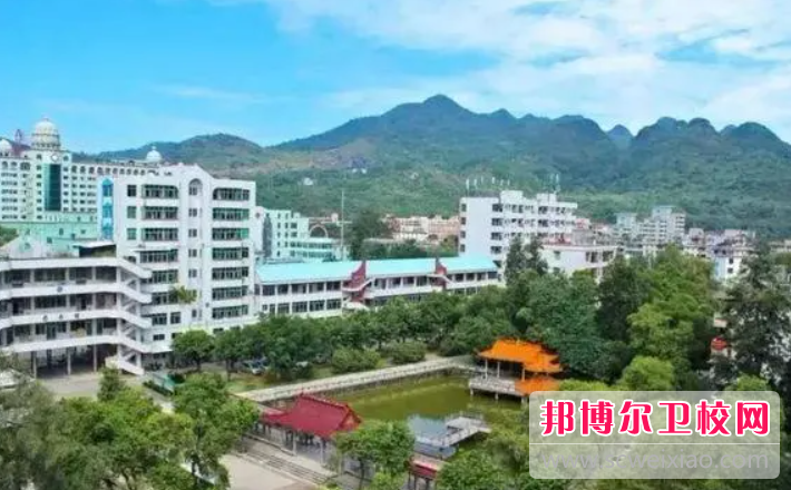 2023廣東省連州衛(wèi)生學(xué)校有哪些專業(yè) 廣東省連州衛(wèi)生學(xué)校開設(shè)的專業(yè)一覽表