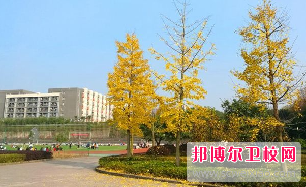 四川2023年護理學校畢業(yè)好不好找工作