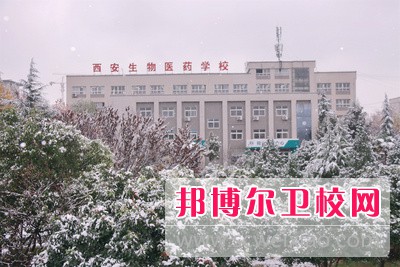 陜西2024年好一點的護理學校